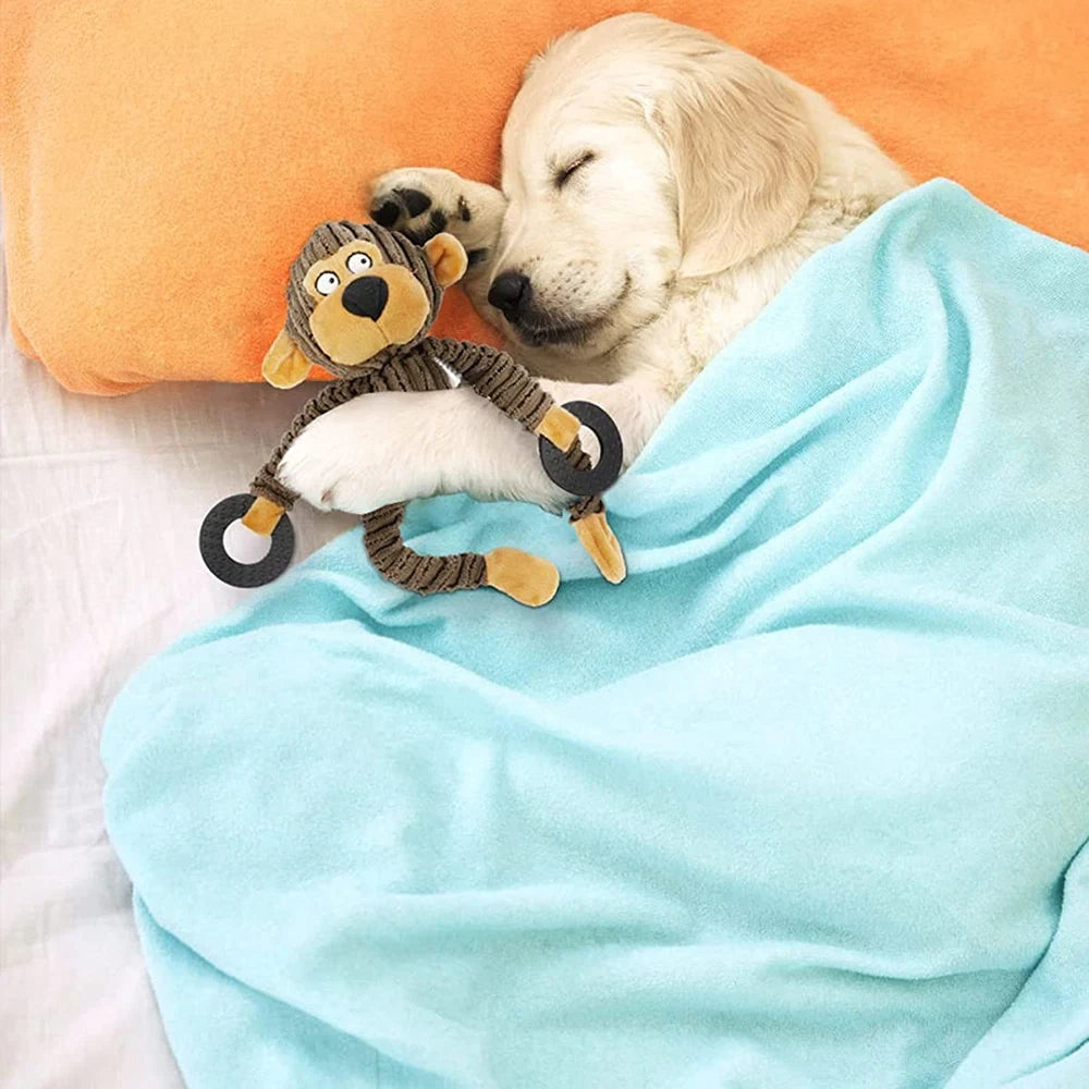Squeaky Plush Dog Toy – Fun Interactive Puppy Toy