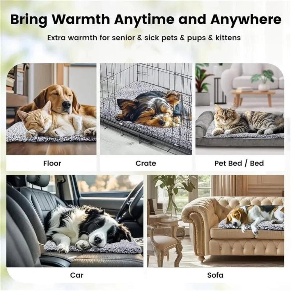 Winter Self-Heating Pet Mat — Cosy Thermal Blanket for Dogs & Cats