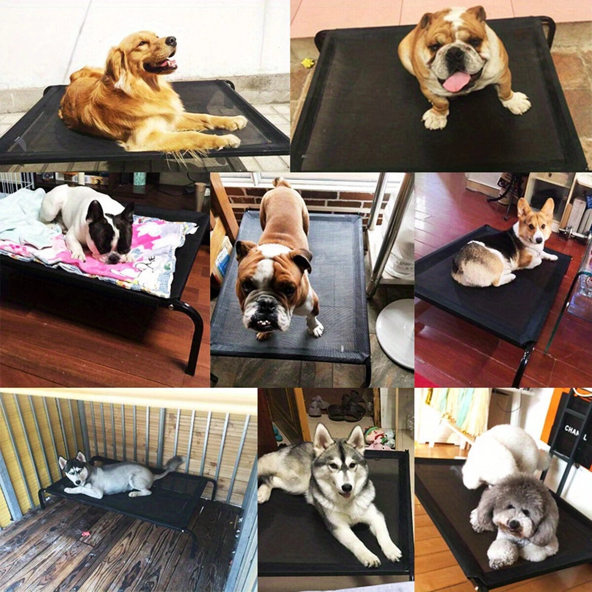 Elevated Raised Dog Bed — Heavy-Duty Trampoline Bed for Indoor & Outdoor Comfort