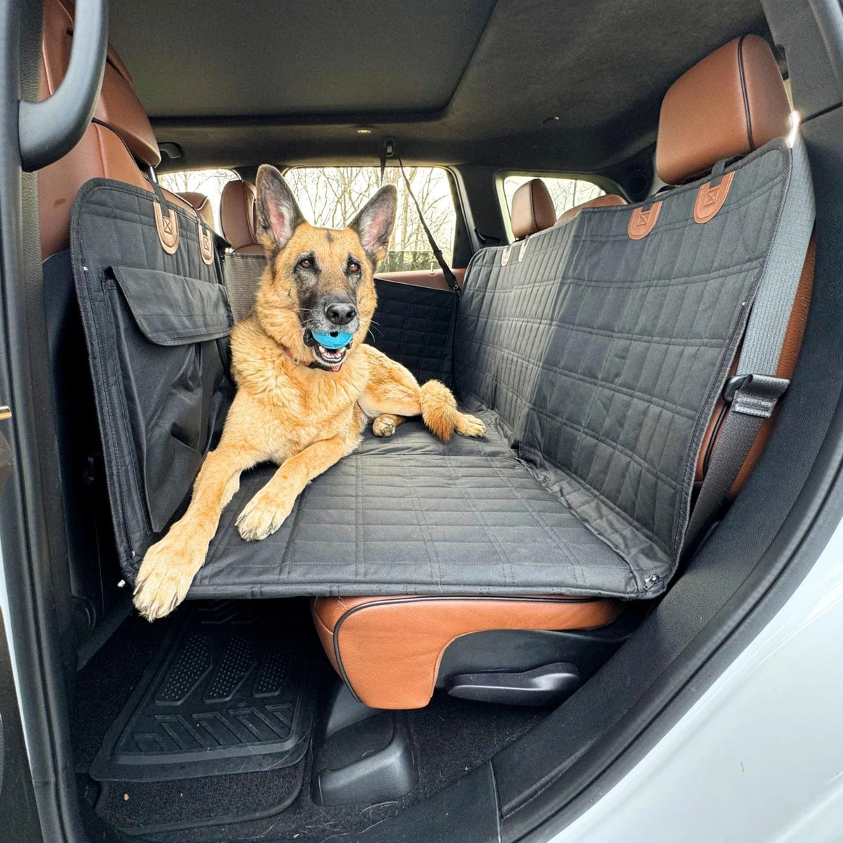 Dog Car Seat with Hard Bottom — Spacious Back Seat Cover for Dogs