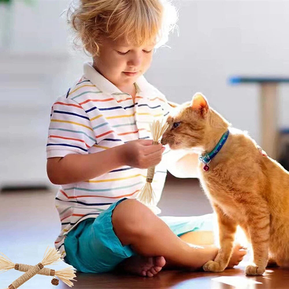 Silvervine Cat Dental Chew Toy — Natural Matatabi Teeth Cleaning Stick