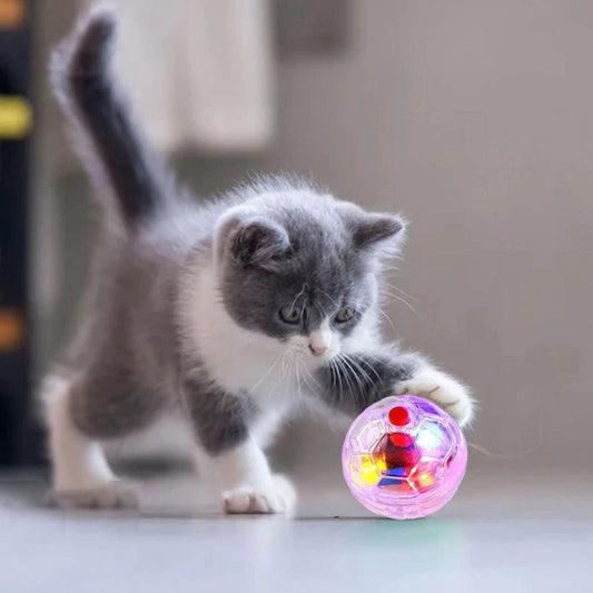 LED Light-Up Cat Balls — Motion Activated Interactive Toy for Cats & Kittens