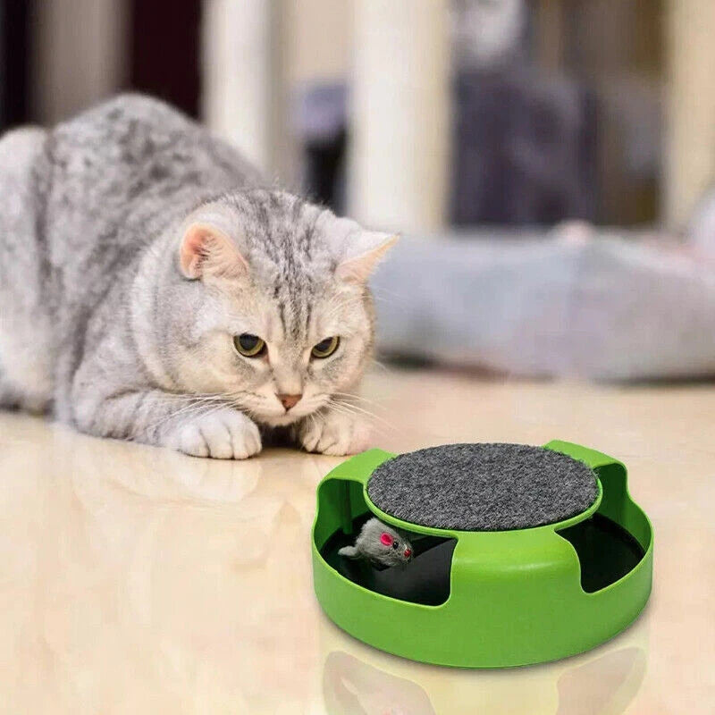 Interactive Cat Toy — Catch the Mouse Chase & Scratch Toy for Cats & Kittens