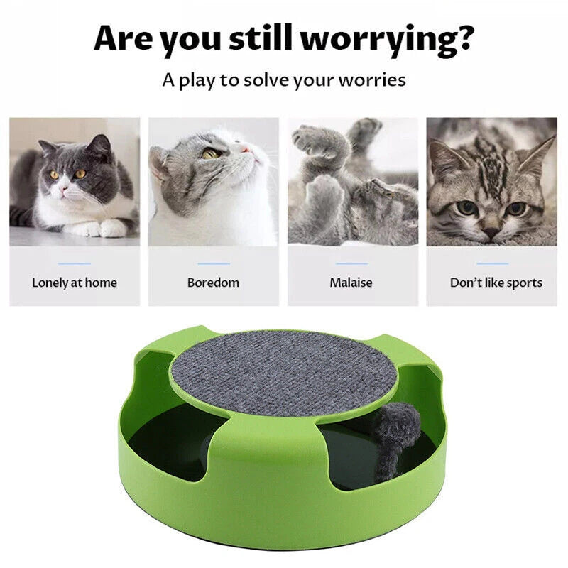 Interactive Cat Toy — Catch the Mouse Chase & Scratch Toy for Cats & Kittens