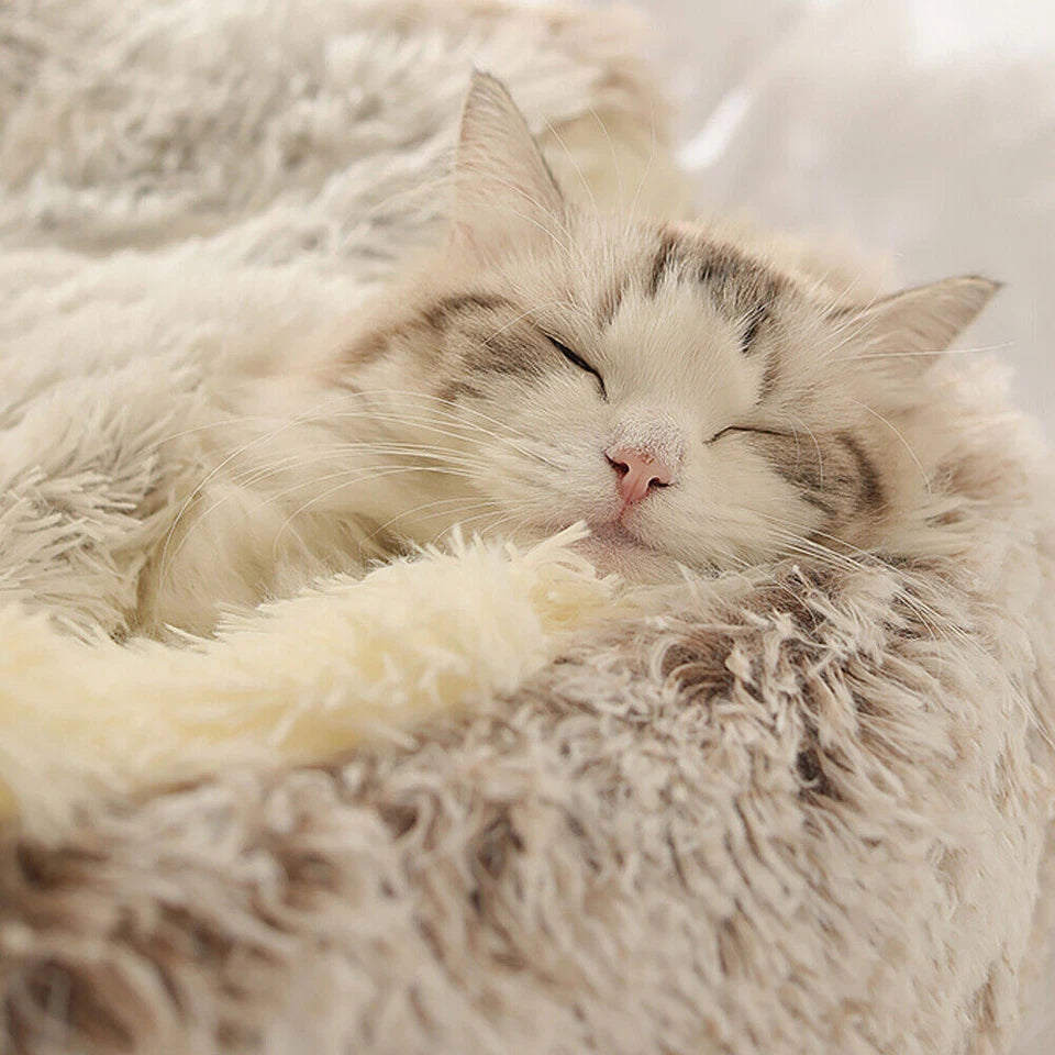 Cosy Plush Cat Cave — Warm Kitten Igloo Bed for Sleeping & Snuggling