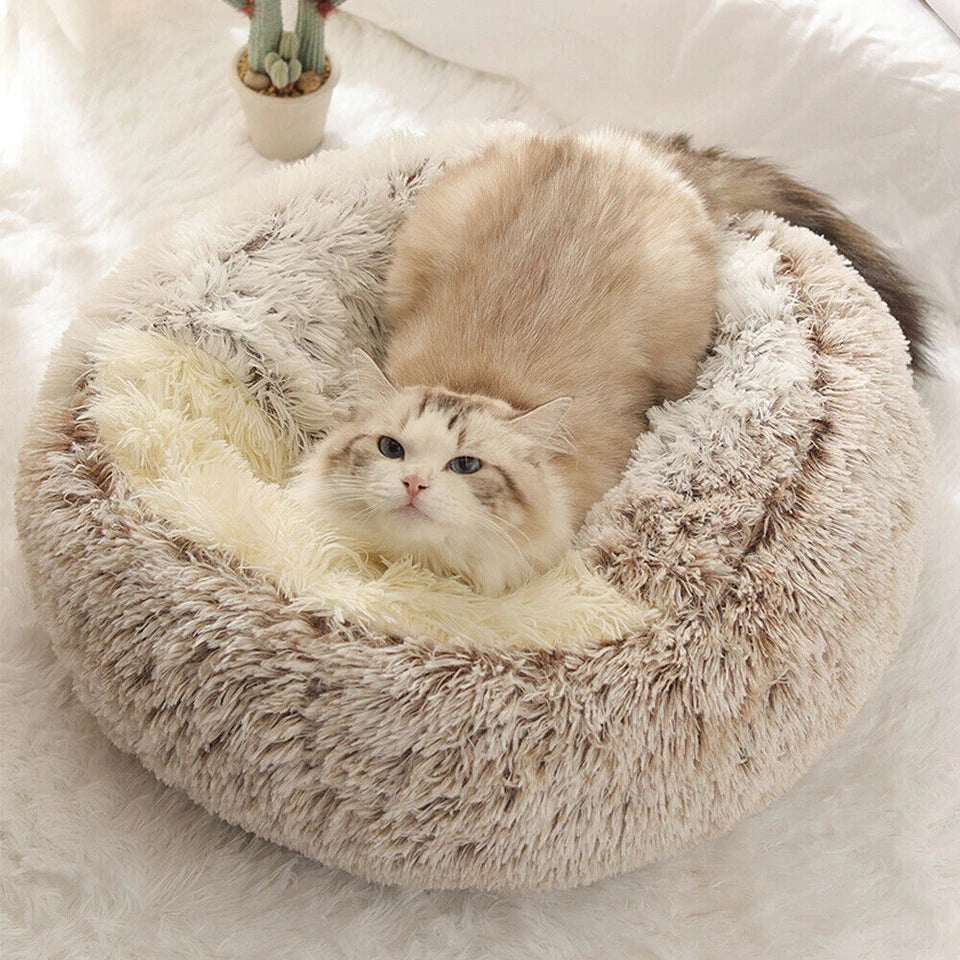 Cosy Plush Cat Cave — Warm Kitten Igloo Bed for Sleeping & Snuggling