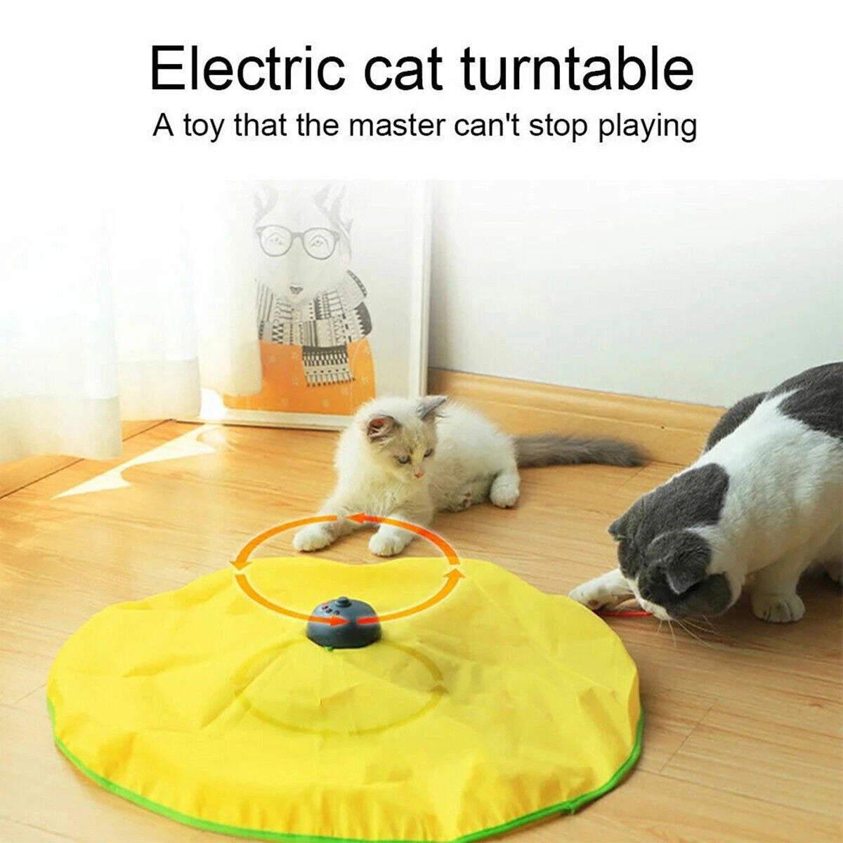 Pounce Time — Interactive Electronic Moving Mouse Chase Toy for Cats