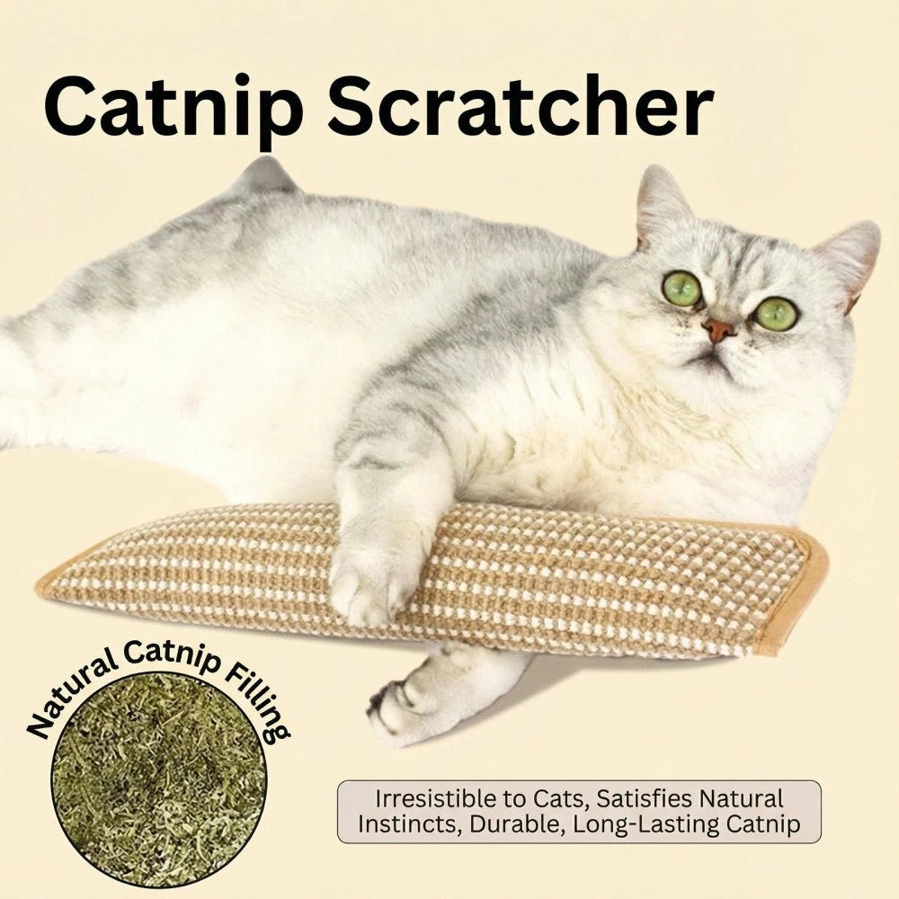 Catnip Kicker Pillow — Interactive Chew, Scratch & Play Toy for Indoor Cats