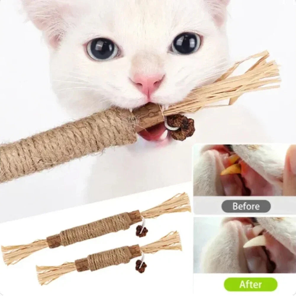 Silvervine Cat Dental Chew Toy — Natural Matatabi Teeth Cleaning Stick