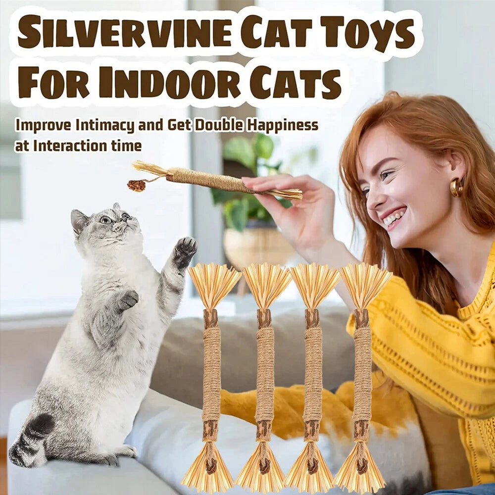 Silvervine Cat Dental Chew Toy — Natural Matatabi Teeth Cleaning Stick