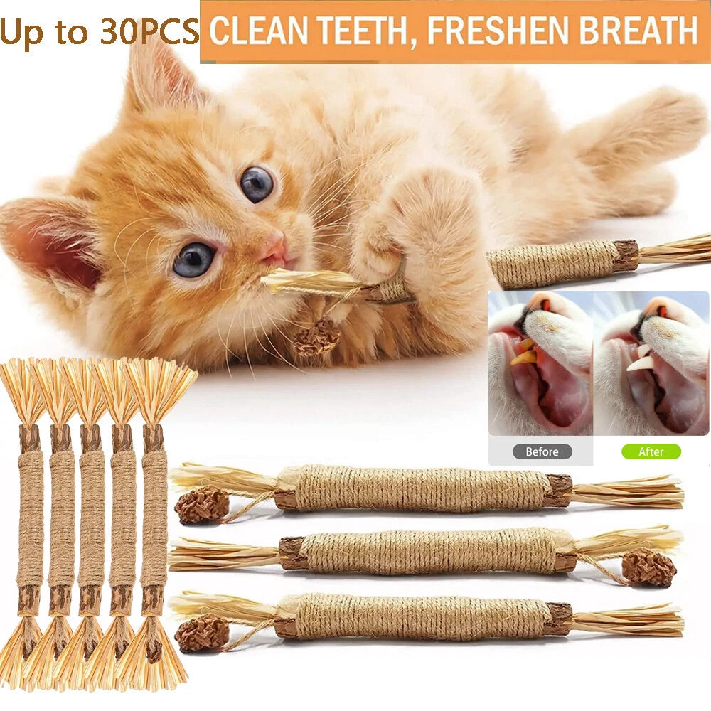Silvervine Cat Dental Chew Toy — Natural Matatabi Teeth Cleaning Stick