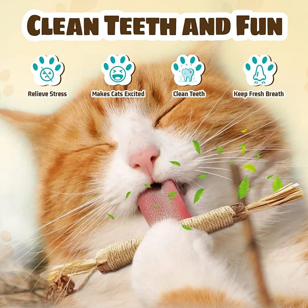 Silvervine Cat Dental Chew Toy — Natural Matatabi Teeth Cleaning Stick