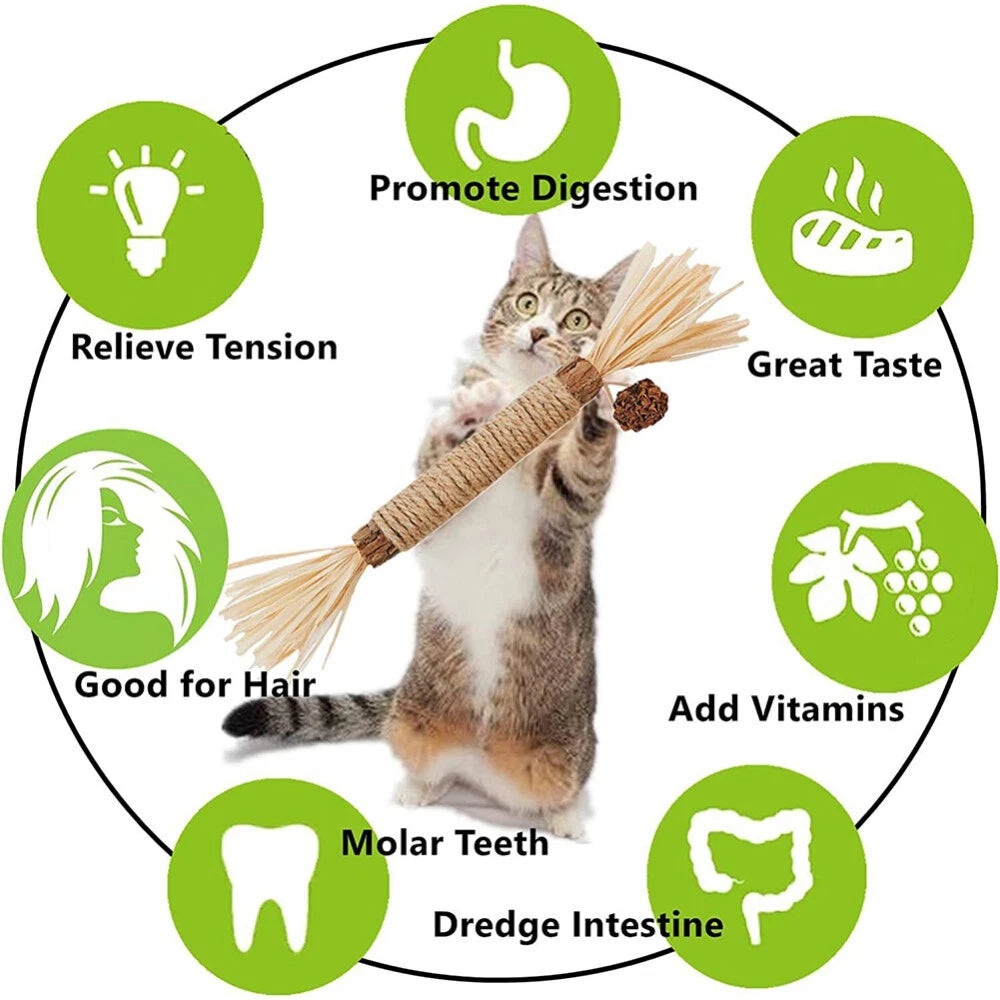Silvervine Cat Dental Chew Toy — Natural Matatabi Teeth Cleaning Stick
