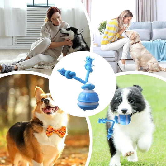 Chase & Play — Interactive Automatic Moving Ball Toy for Dogs