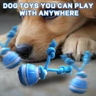 Chase & Play — Interactive Automatic Moving Ball Toy for Dogs
