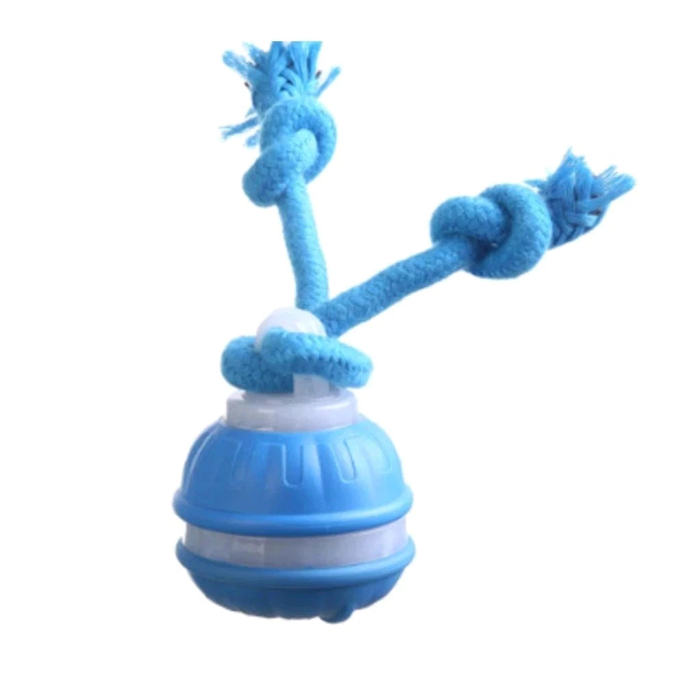 Chase & Play — Interactive Automatic Moving Ball Toy for Dogs
