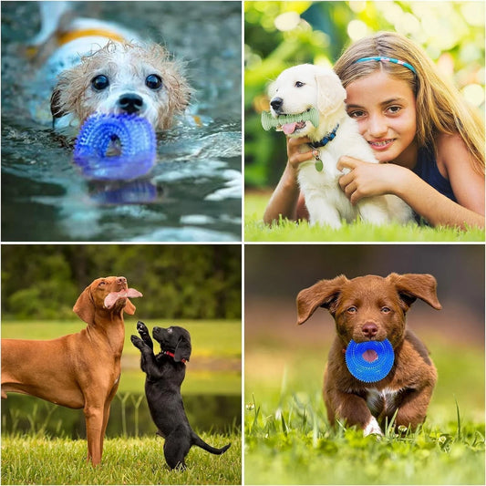 Puppy Teething Toy Set — 6 Pack Chew & Squeaky Toys for Small Dogs