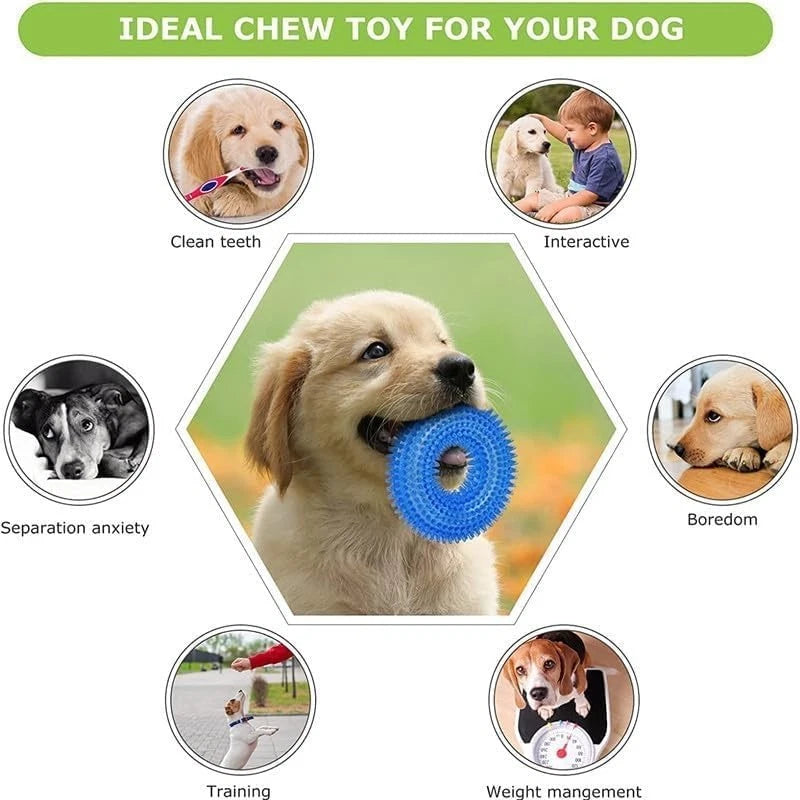 Puppy Teething Toy Set — 6 Pack Chew & Squeaky Toys for Small Dogs