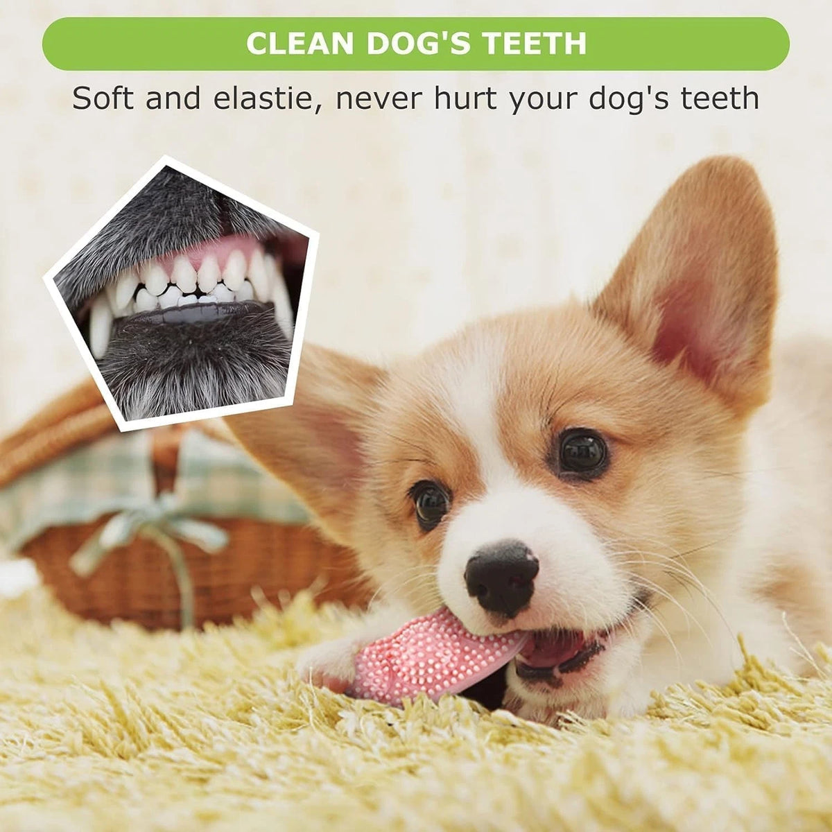 Puppy Teething Toy Set — 6 Pack Chew & Squeaky Toys for Small Dogs