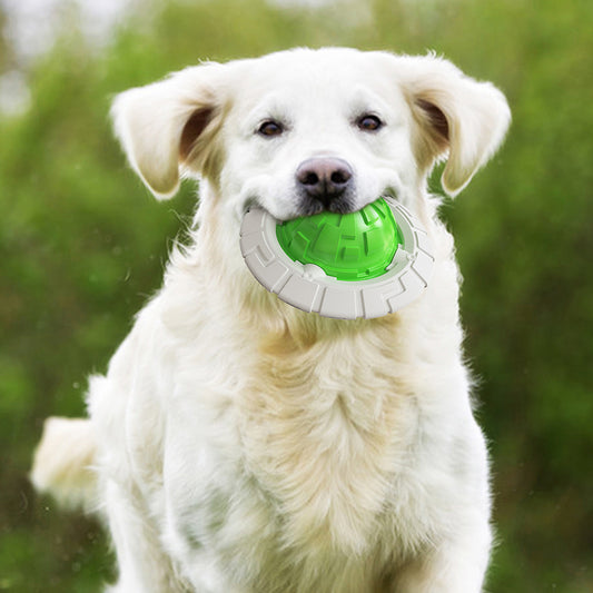 Tough Interactive Dog Chew Toy — Squeaky Fetch & Dental Play Toy