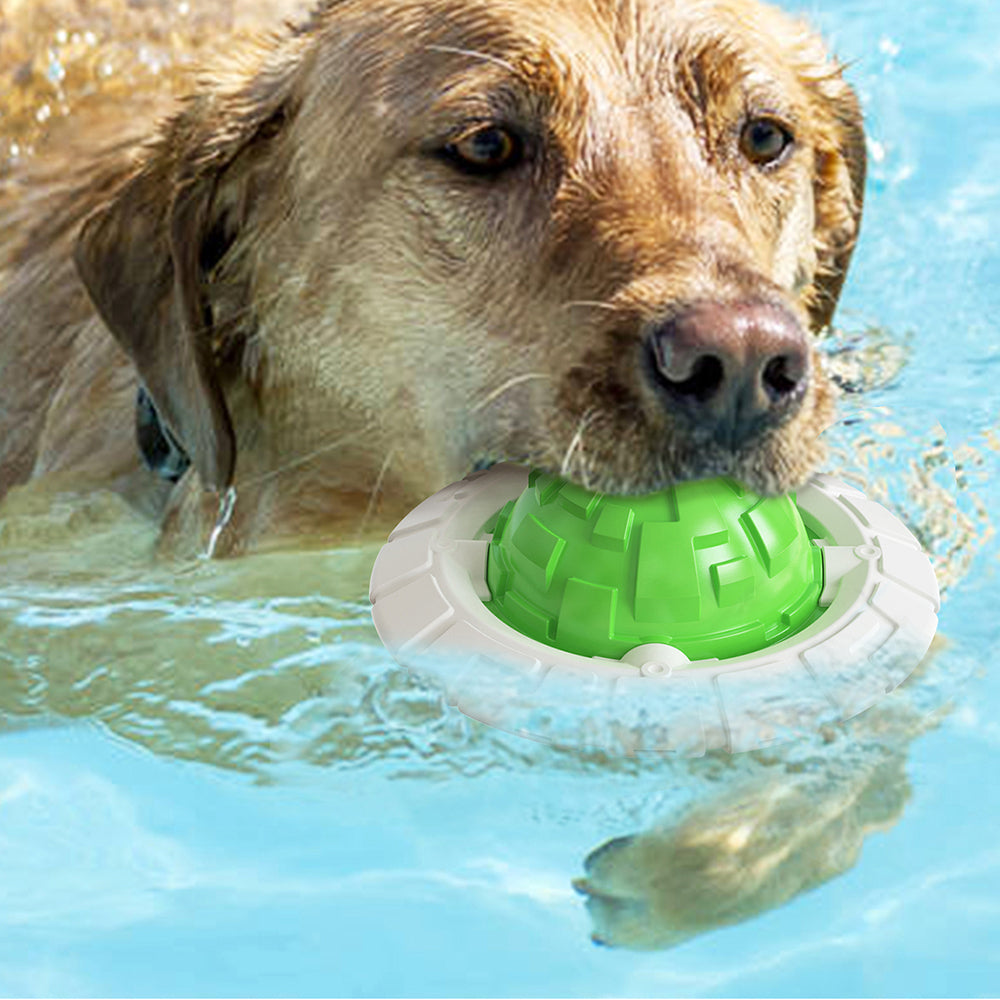 Tough Interactive Dog Chew Toy — Squeaky Fetch & Dental Play Toy