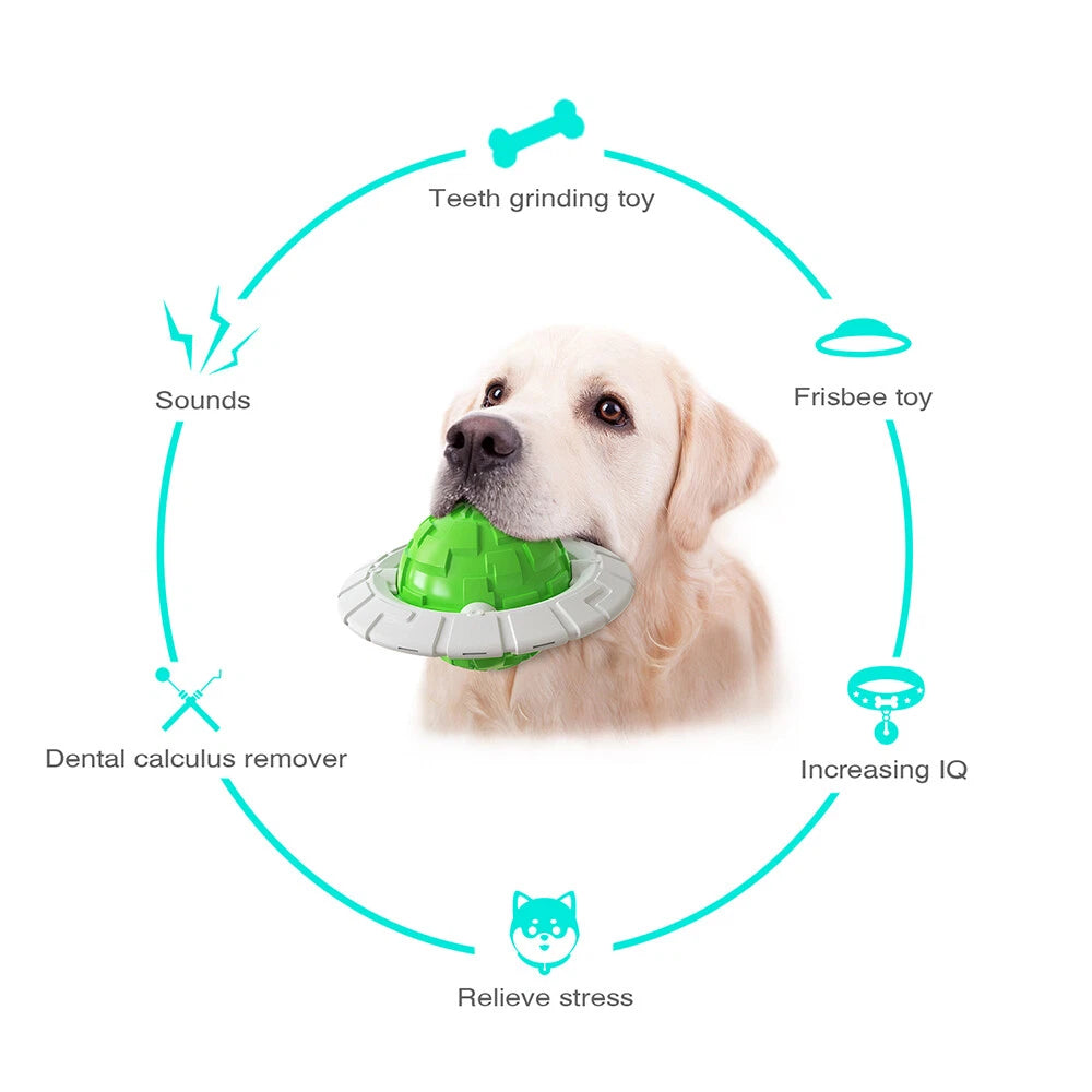 Tough Interactive Dog Chew Toy — Squeaky Fetch & Dental Play Toy