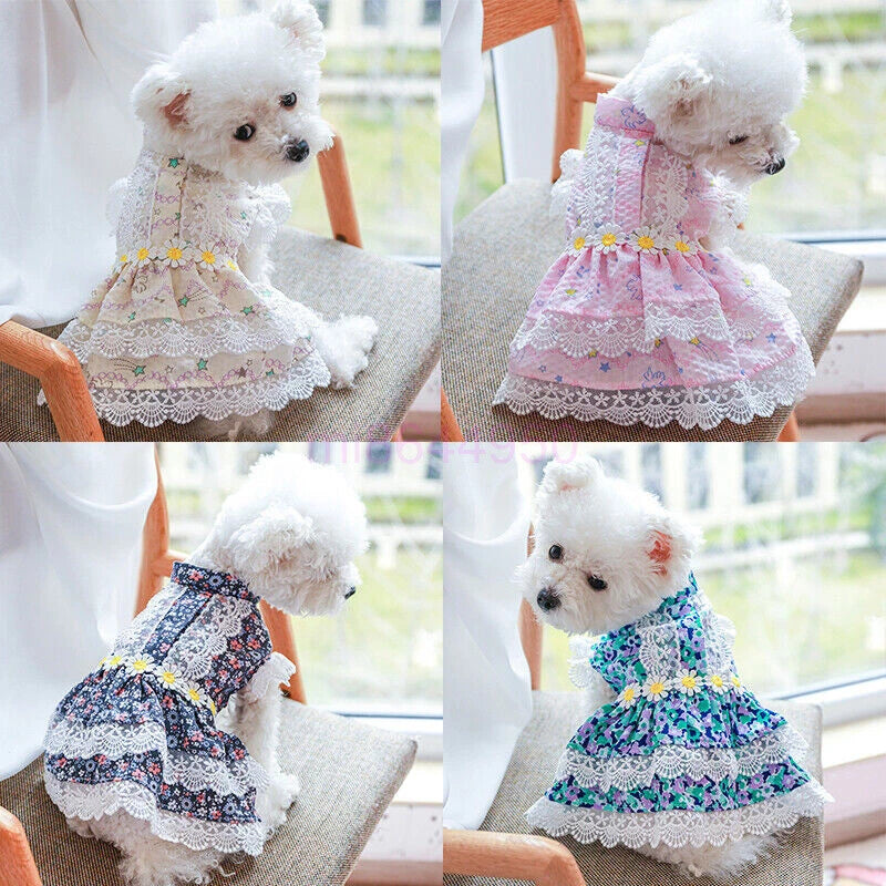 Pretty Lace & Ruffle Pet Dress — Adorable Dress for Dogs & Cats