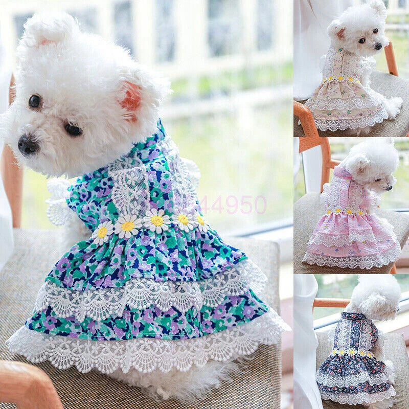 Pretty Lace & Ruffle Pet Dress — Adorable Dress for Dogs & Cats