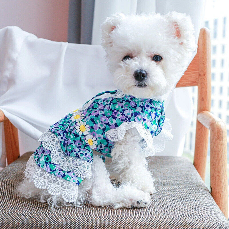 Pretty Lace & Ruffle Pet Dress — Adorable Dress for Dogs & Cats