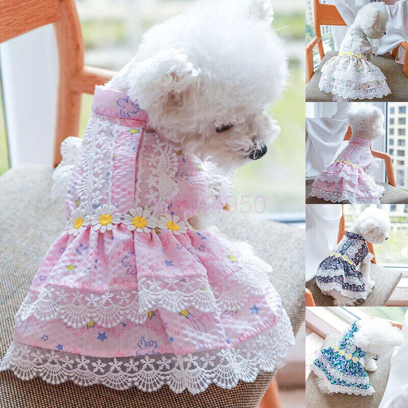 Pretty Lace & Ruffle Pet Dress — Adorable Dress for Dogs & Cats