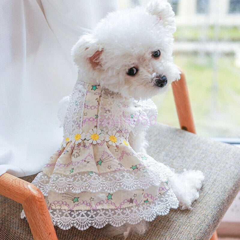 Pretty Lace & Ruffle Pet Dress — Adorable Dress for Dogs & Cats