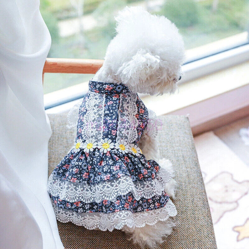 Pretty Lace & Ruffle Pet Dress — Adorable Dress for Dogs & Cats