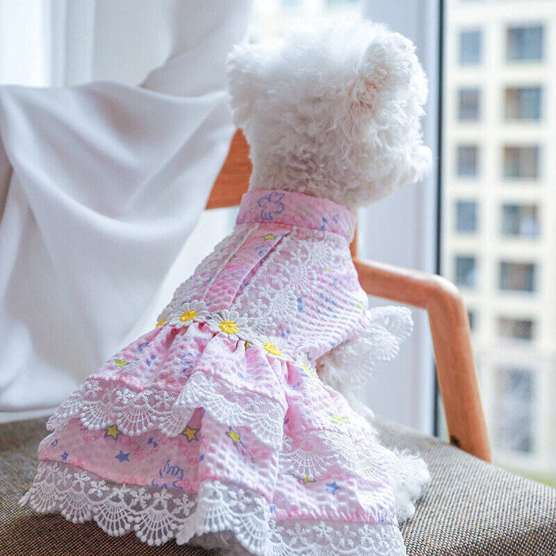 Pretty Lace & Ruffle Pet Dress — Adorable Dress for Dogs & Cats