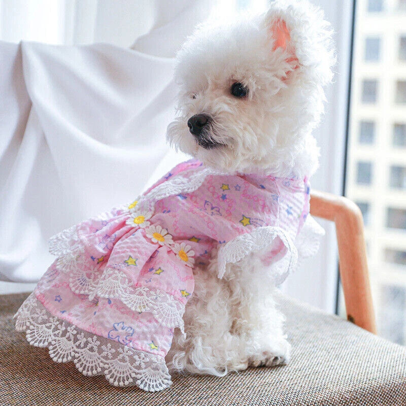 Pretty Lace & Ruffle Pet Dress — Adorable Dress for Dogs & Cats