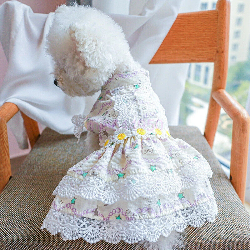 Pretty Lace & Ruffle Pet Dress — Adorable Dress for Dogs & Cats