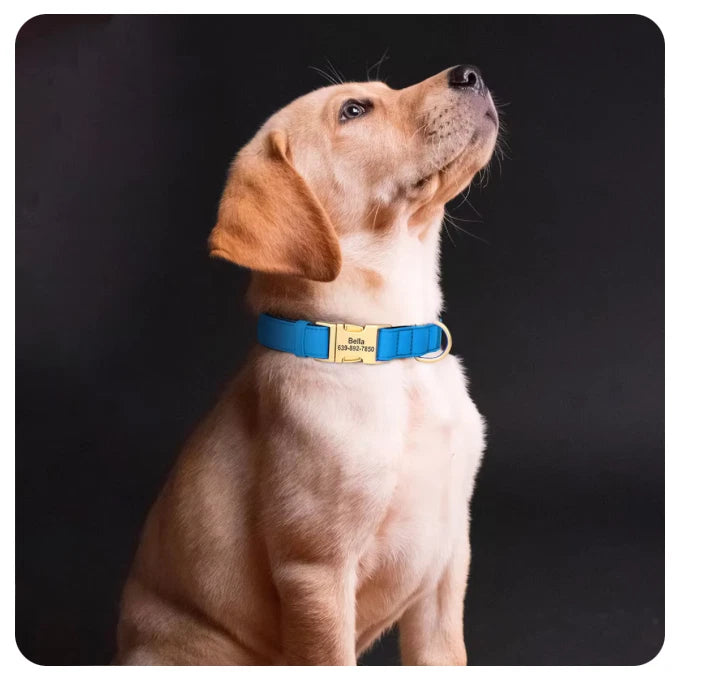 Personalised Dog Collar – Waterproof Custom Name & Phone Number Engraved