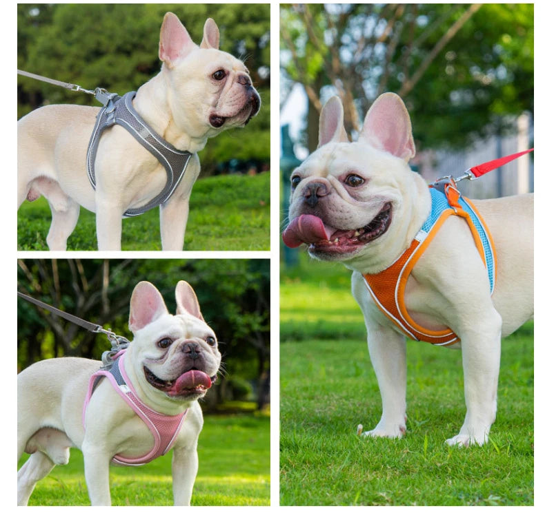 Reflective Pet Harness & Lead – Adjustable Mesh Walking Set for Dogs & Cats