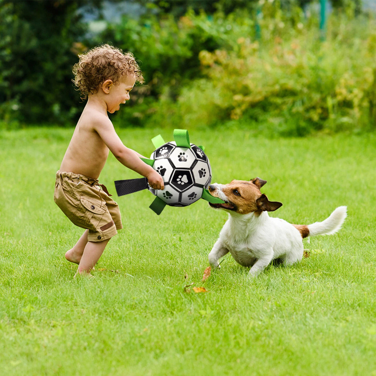 Dog Soccer Ball – Interactive Fetch & Play Toy