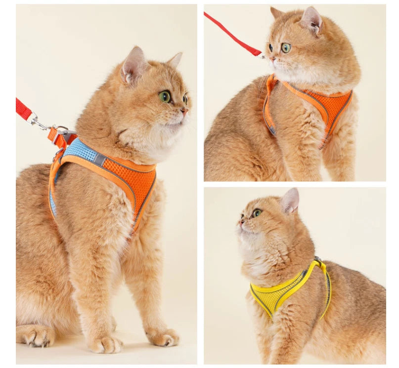Reflective Pet Harness & Lead – Adjustable Mesh Walking Set for Dogs & Cats