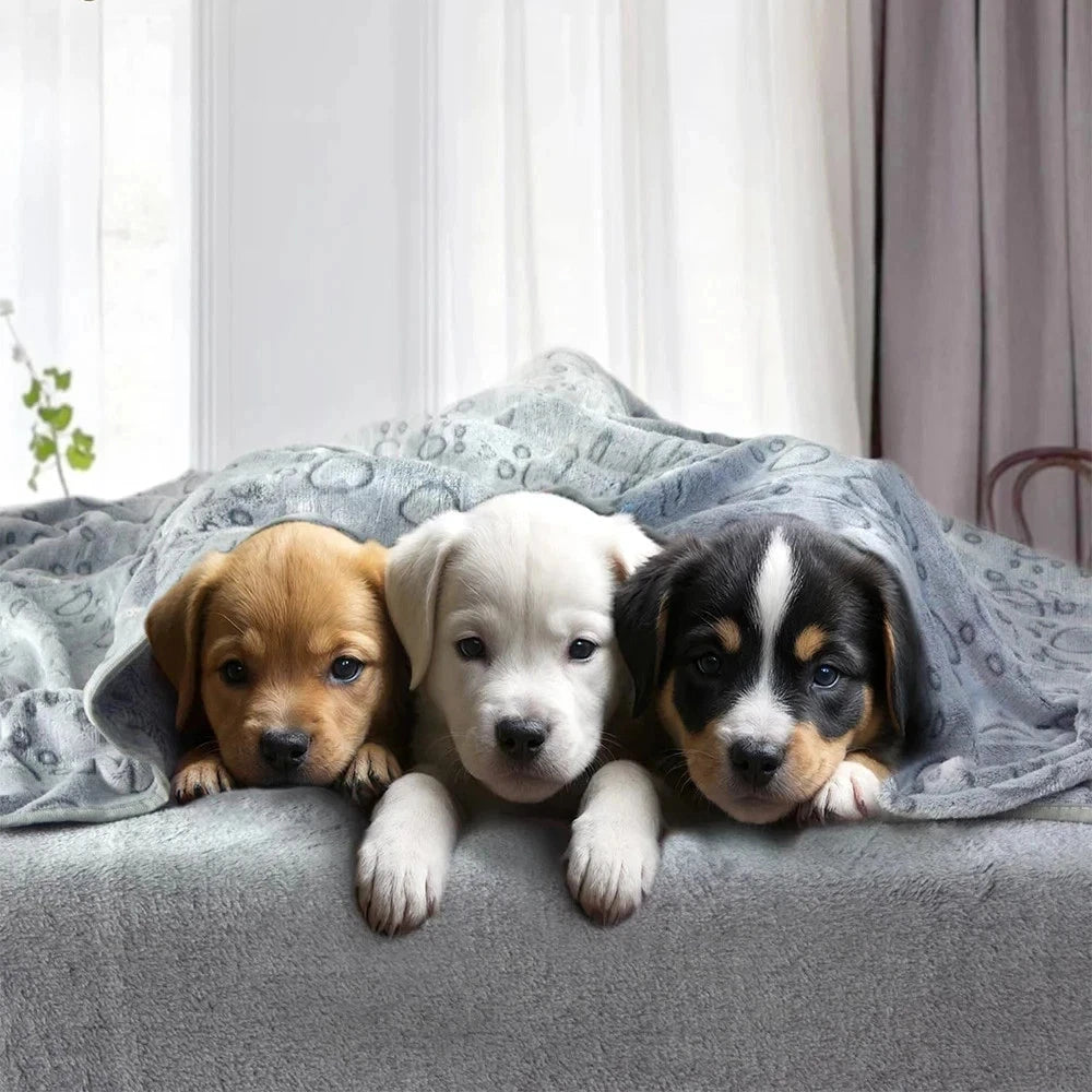Cosy Pet Blanket — Soft Fleece Mat for Dogs, Cats & Puppies