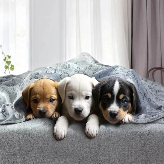 Cosy Pet Blanket — Soft Fleece Mat for Dogs, Cats & Puppies