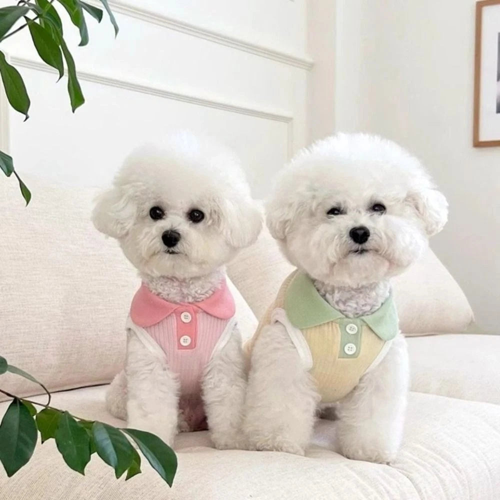 Summer Paws — Cute & Comfortable Pet Shirt for Dogs & Cats