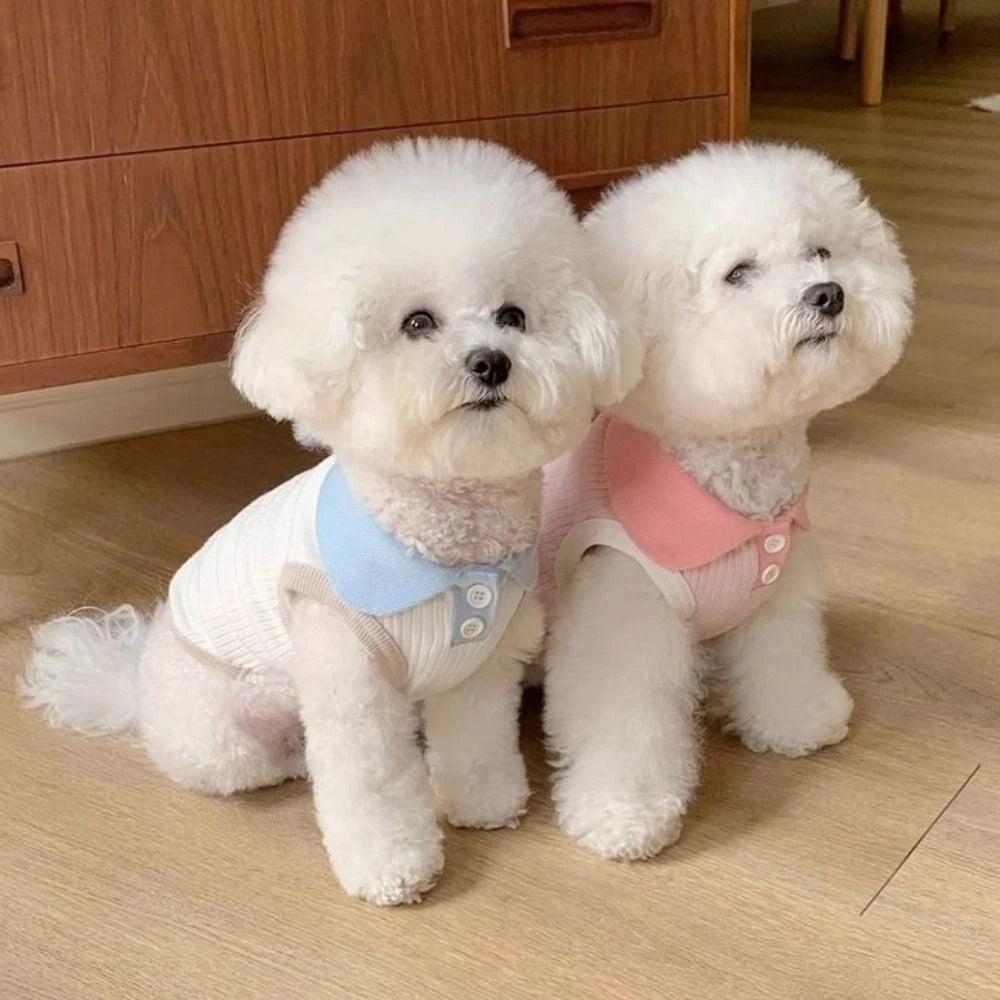 Summer Paws — Cute & Comfortable Pet Shirt for Dogs & Cats