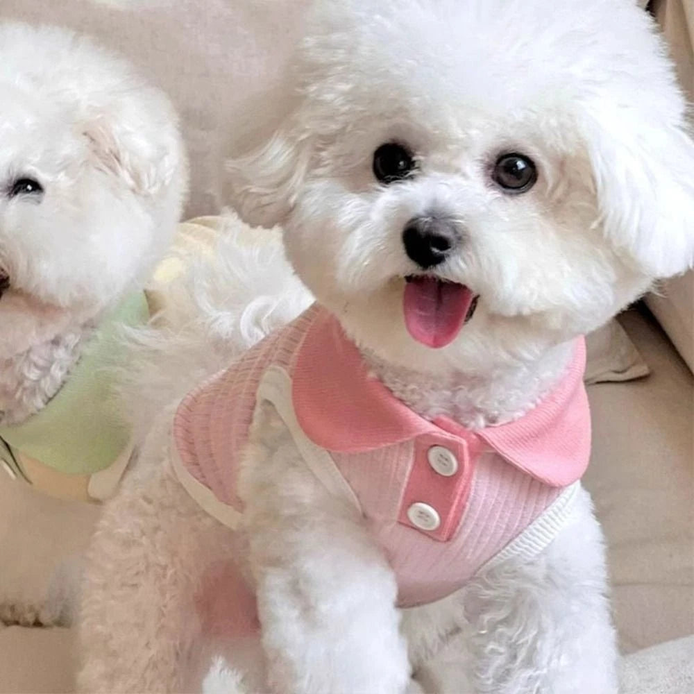 Summer Paws — Cute & Comfortable Pet Shirt for Dogs & Cats