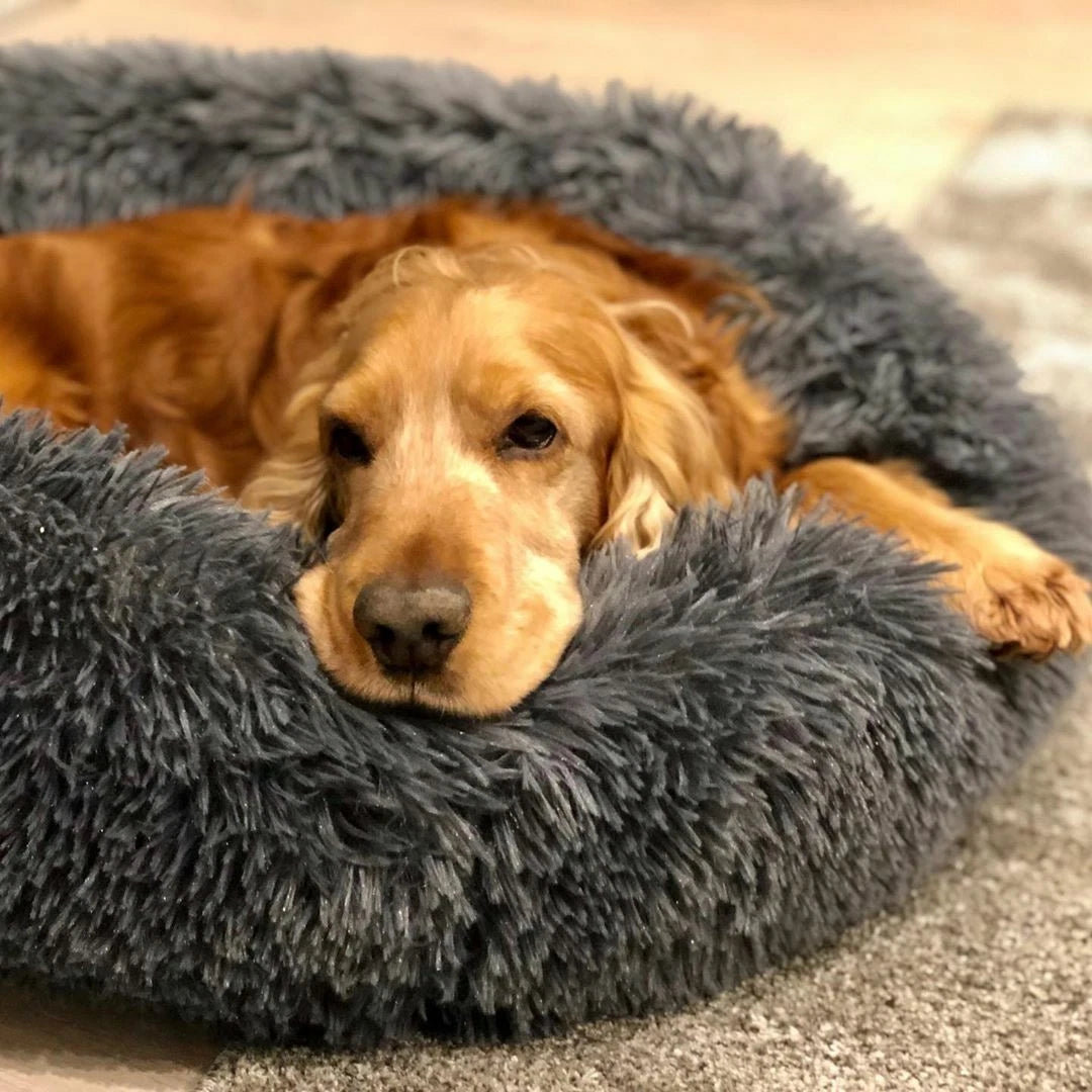 Cosy Calming Pet Bed — Fluffy Donut Cushion for Dogs & Cats