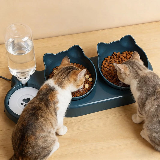 🐱💧 Purrfect Mealtimes — 3-in-1 Cat Food & Water Bowl with Automatic Water Supply