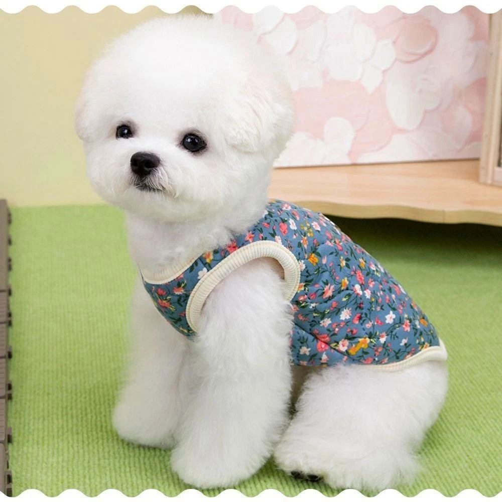 Cosy Paws — Plush Winter Vest for Dogs, Puppies & Cats