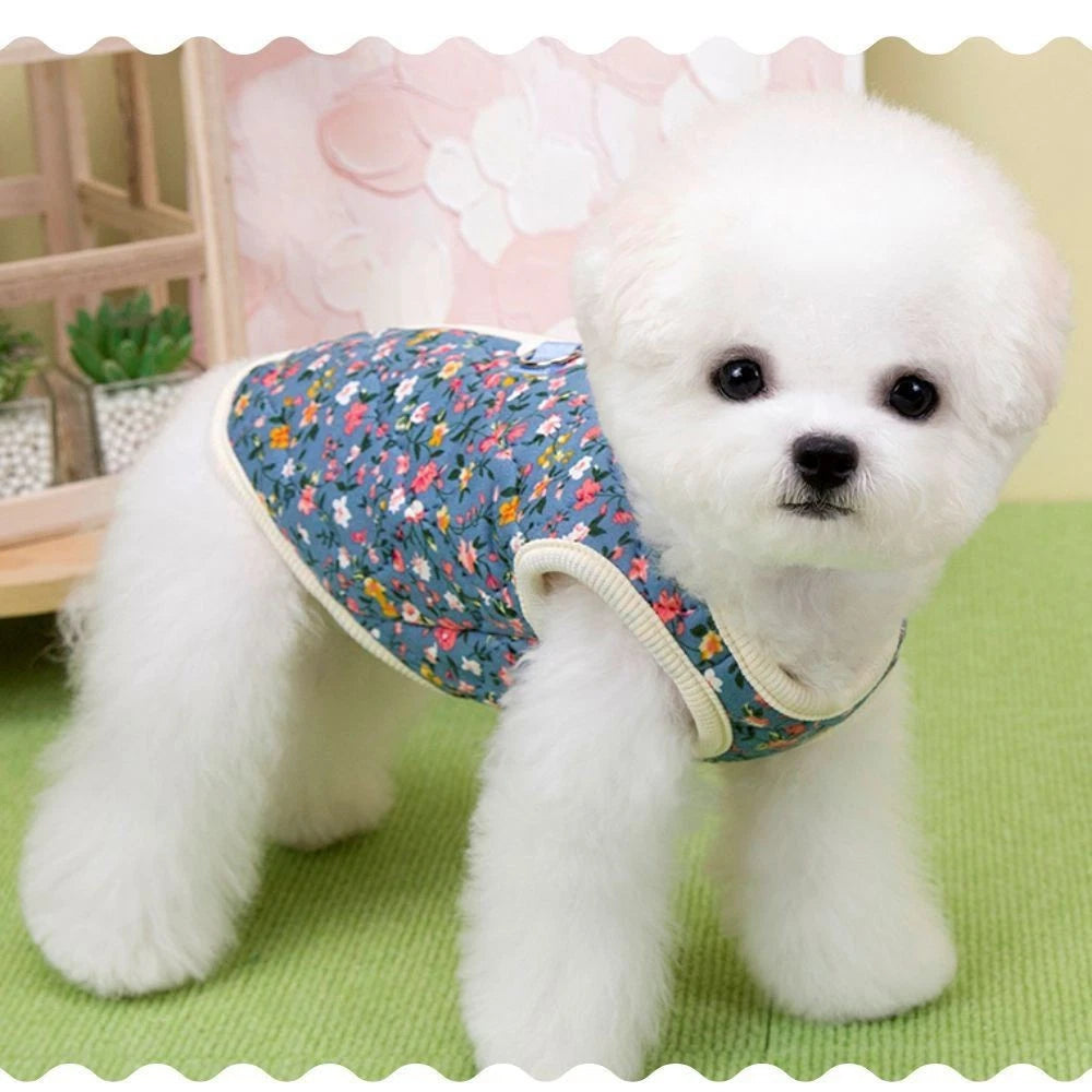 Cosy Paws — Plush Winter Vest for Dogs, Puppies & Cats