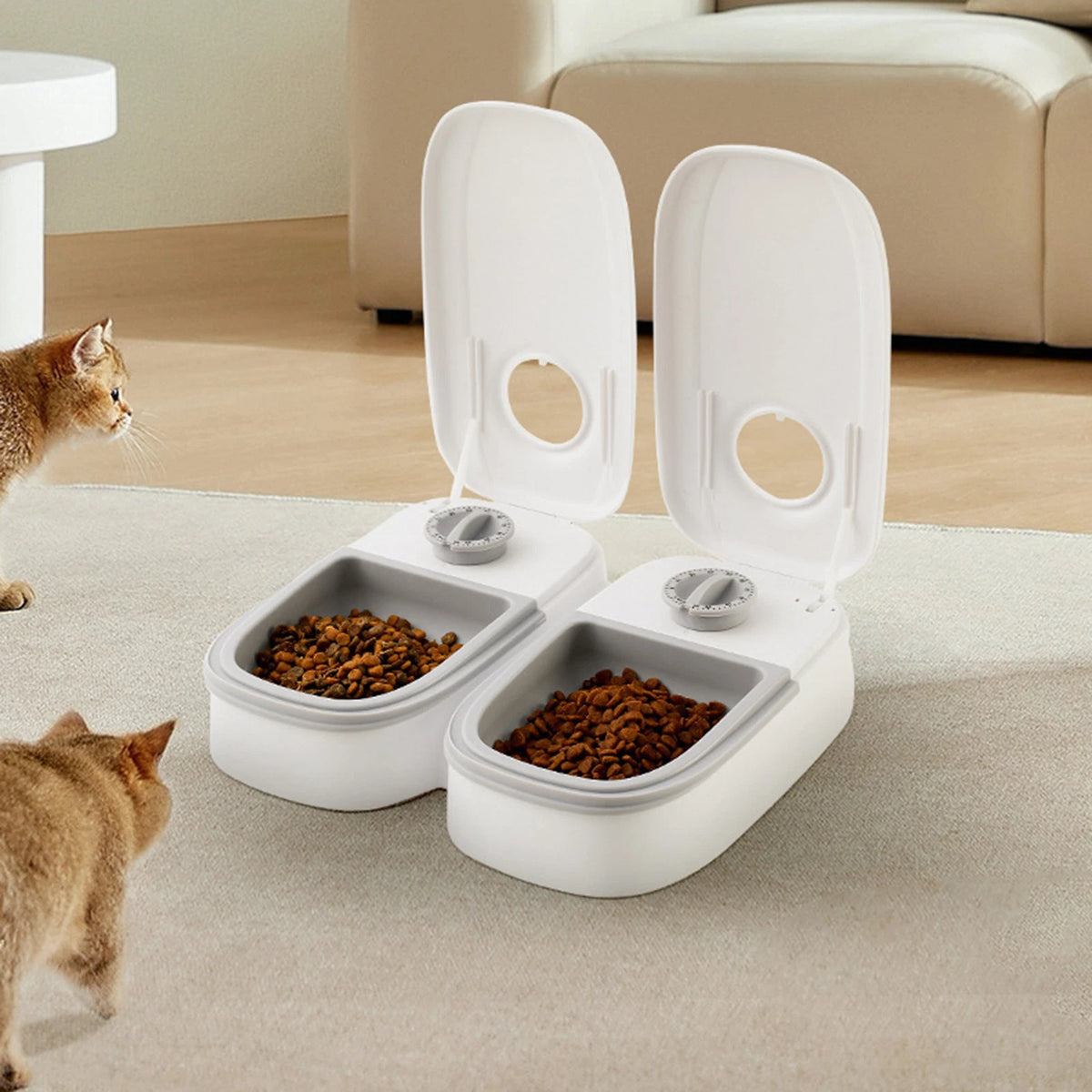 Automatic Pet Food Dispenser – Timed Portion Feeder for Dogs & Cats