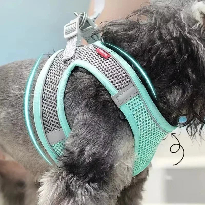 Reflective Pet Harness & Lead – Adjustable Mesh Vest for Dogs, Cats, Puppies & Kittens